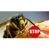 beko CareLine Insekten-STOP 100 ml 290 2 100