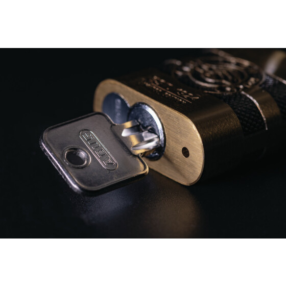 ABUS Vorhangschloss 83/45 Iron Rock Limited Edition