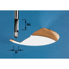 Festool Bohrfräser HW S8 D8/19